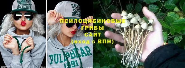 прущие крисы Щучье