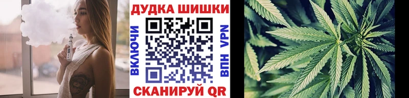 купить закладку  Судак  Канабис планчик 